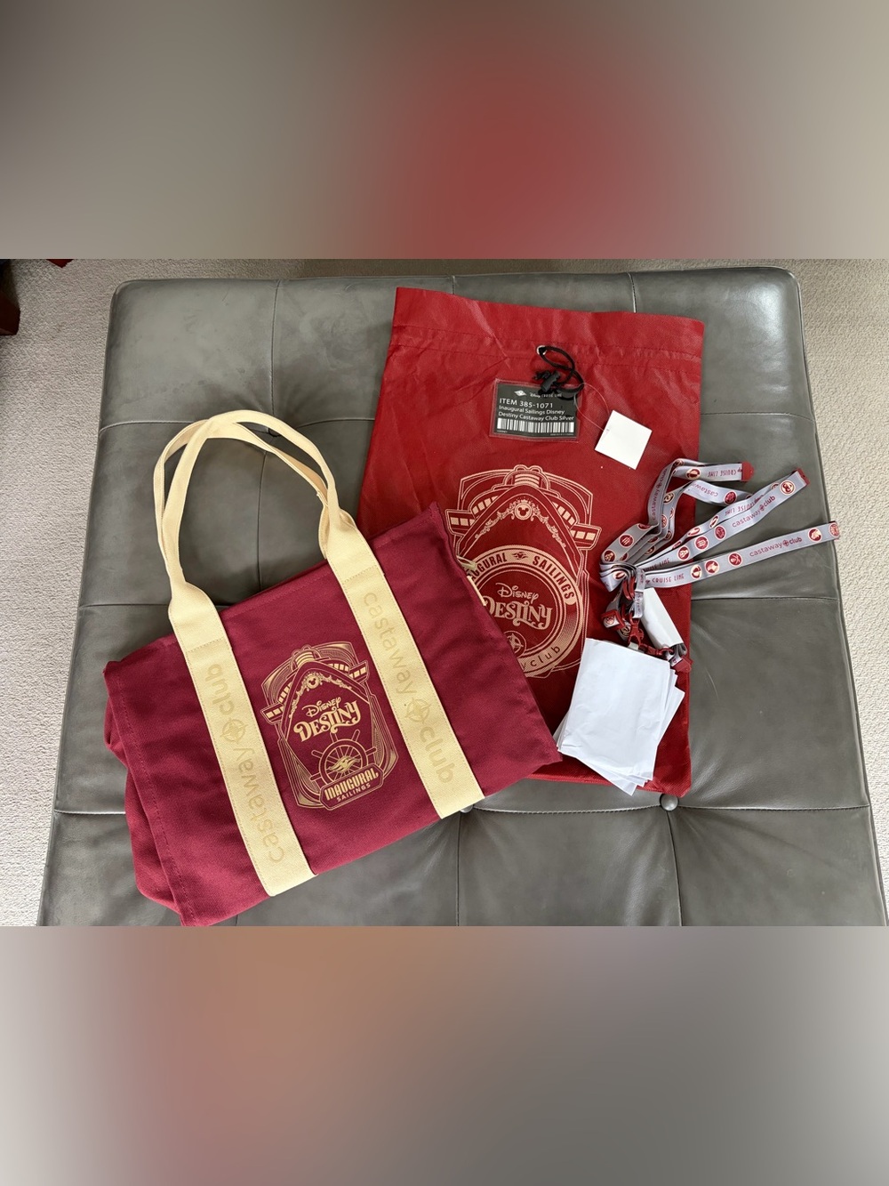 Disney Destiny Inaugural Sailings Castaway Club Tote with bag & 3 laynards